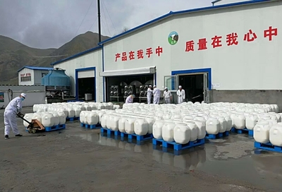 家門(mén)口的小微企業(yè) 尼勒克貧困婦女的致富新路