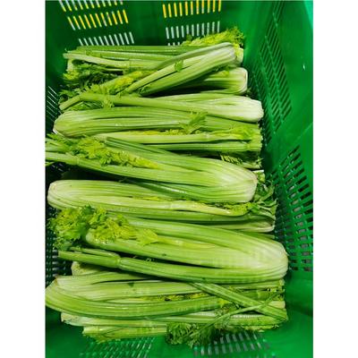 贏得兩地市場(chǎng)的信賴——橋頭鎮(zhèn)與常平鎮(zhèn)食材供應(yīng)到底該選誰(shuí)？